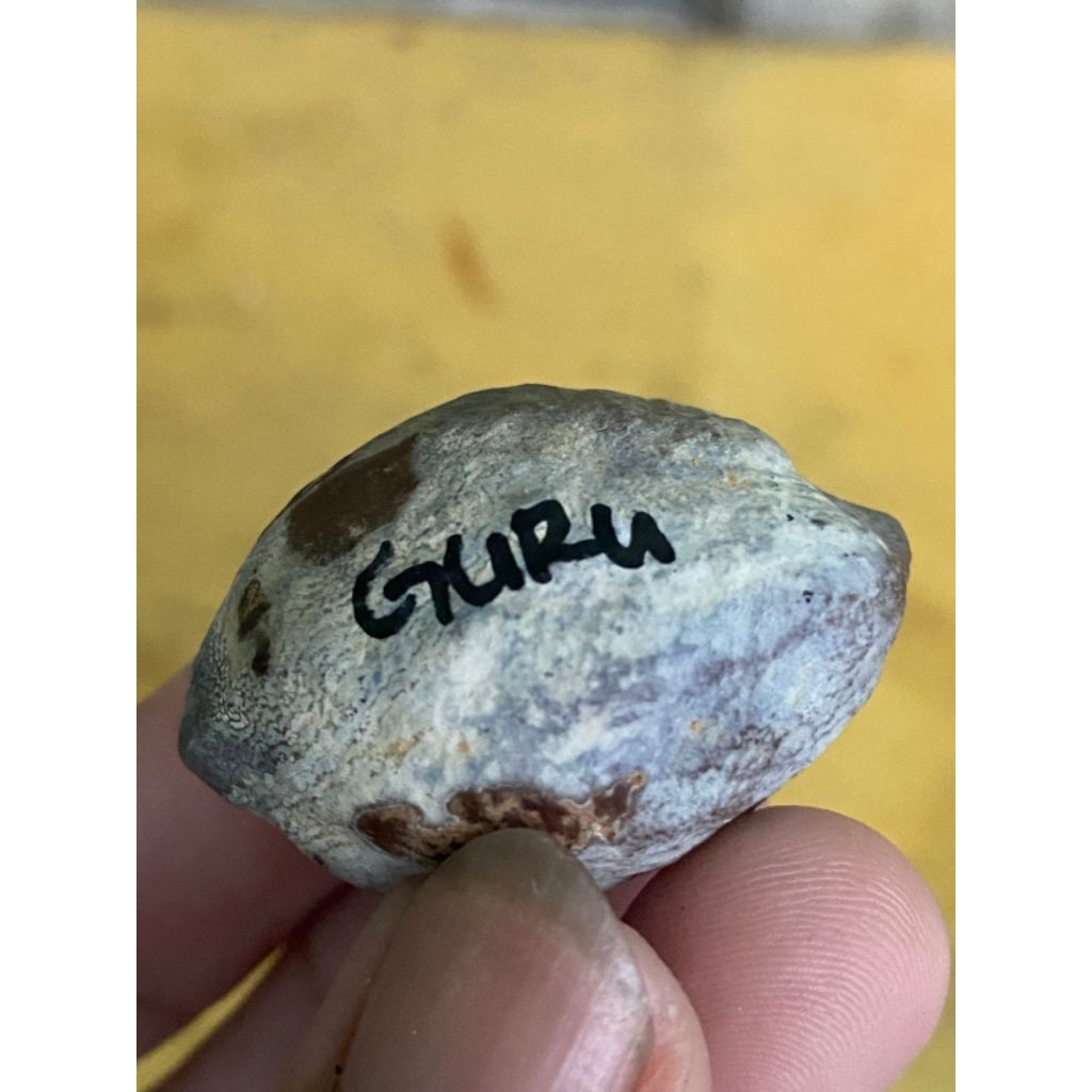 Muncang Adu Wadas grade A kode 8