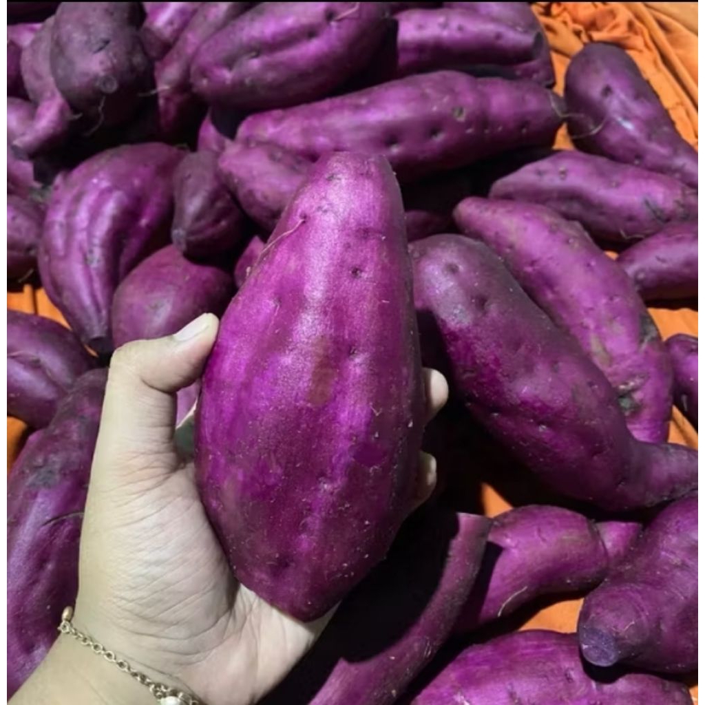 ubi oren 1kg pasar samarinda