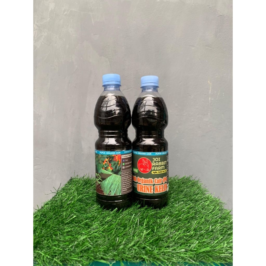 POC Urine Kelinci hasil fermentasi