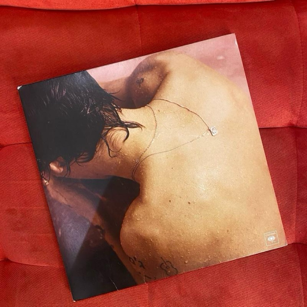 Vinyl | Piringan Hitam Harry Styles – Harry Styles