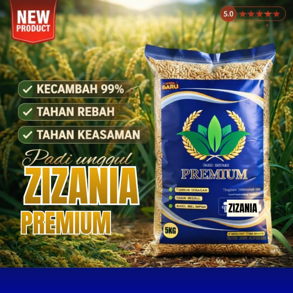 Benih padi unggul Zizania aceh original kemasan 5kg