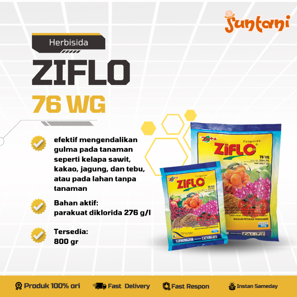 FUNGISIDA ZIFLO 76 WG 800 gr