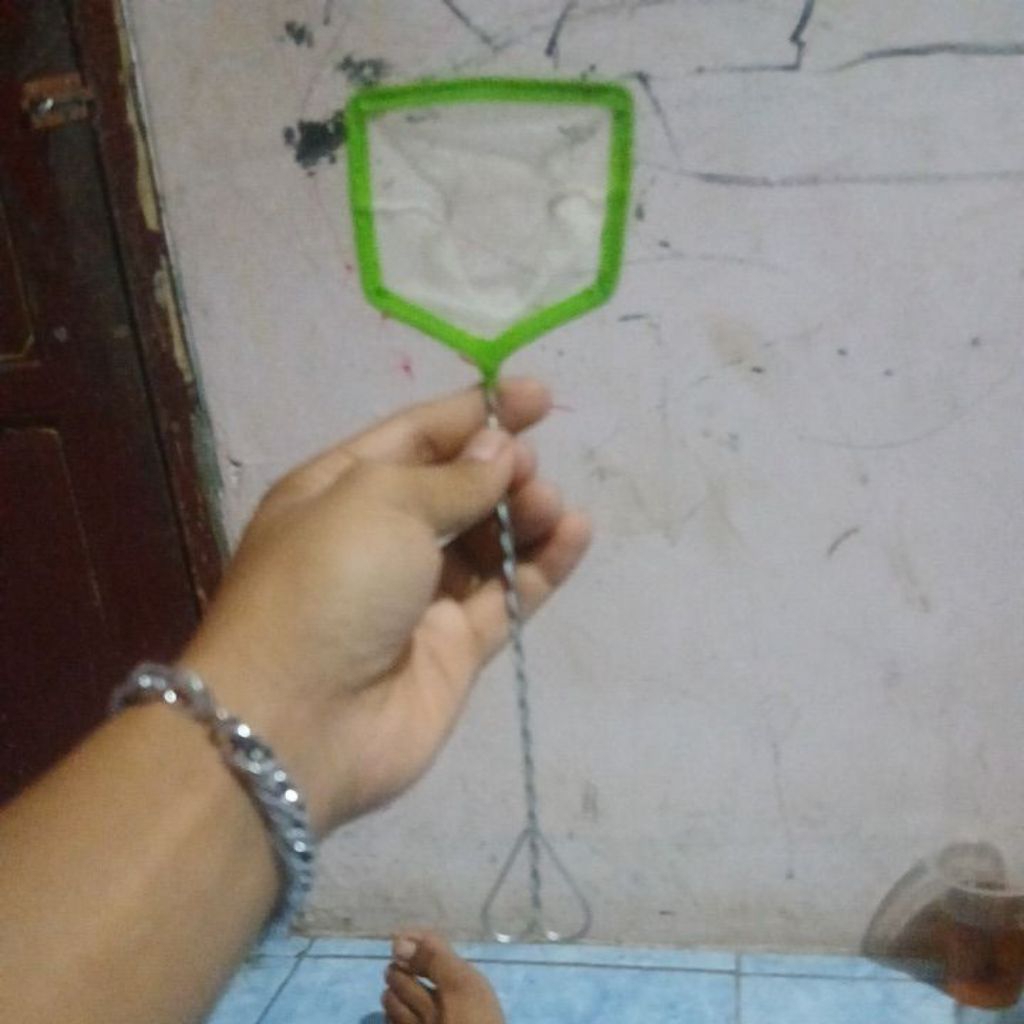 seser