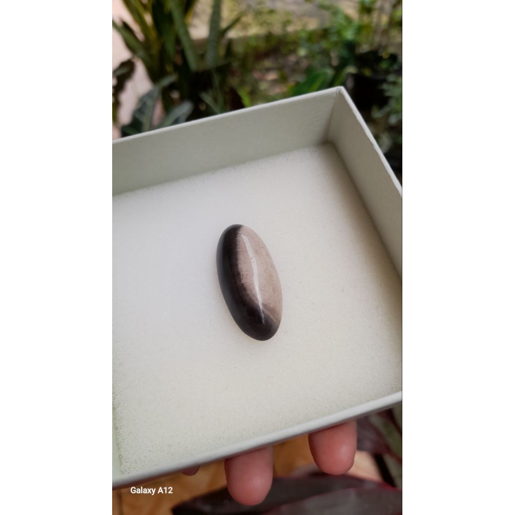 BATU AKIK FOSIL GALIH KELOR