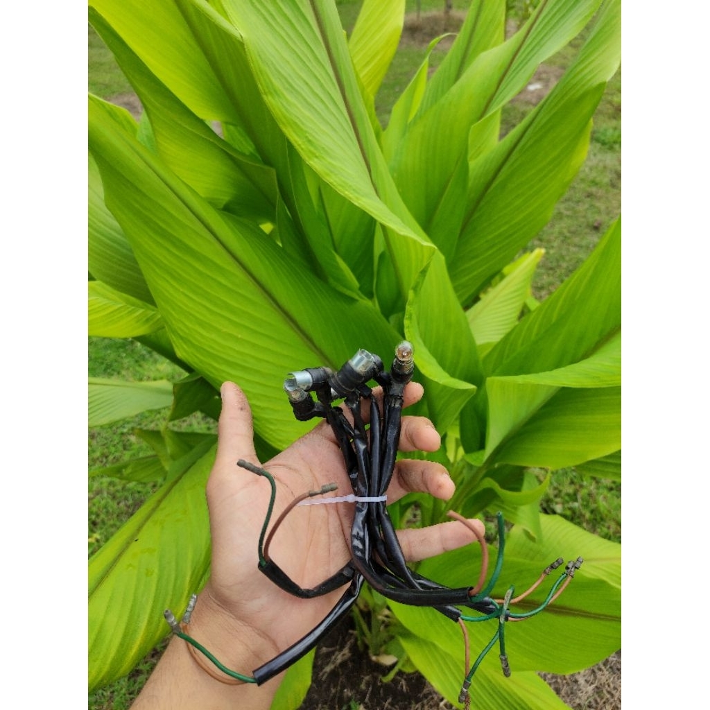 soket piting spidometer Gl 100 bulat 79