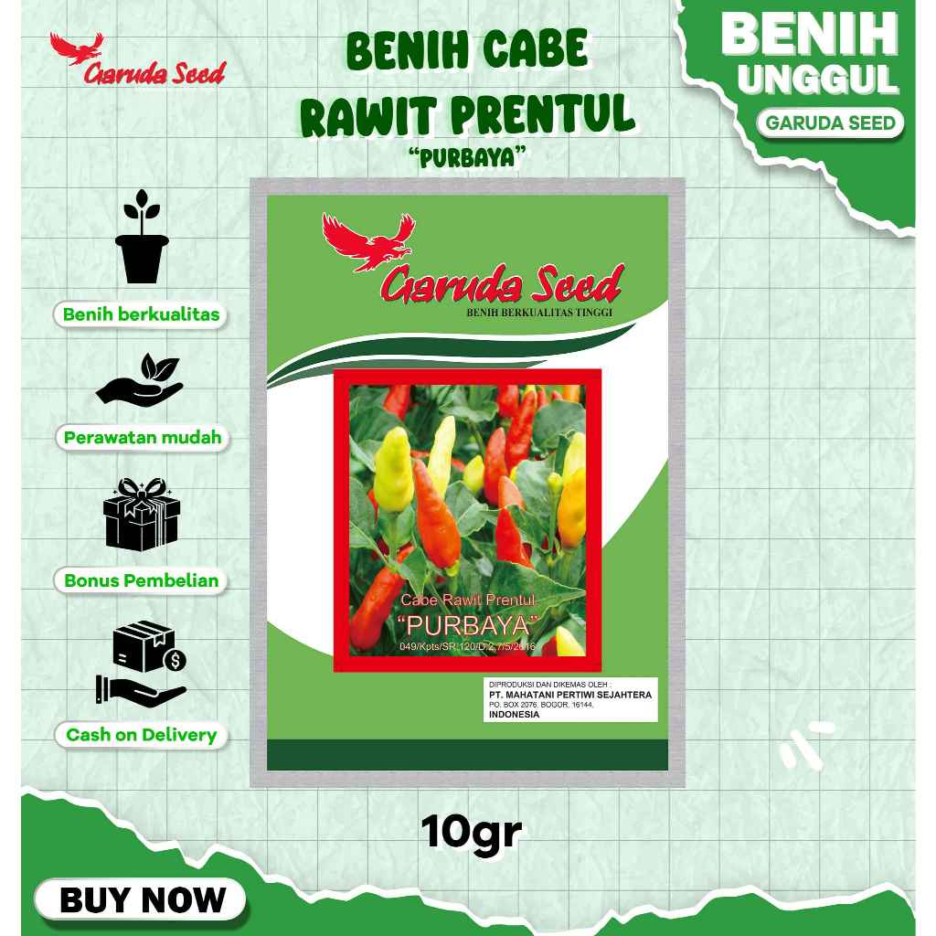 Benih Cabe Rawit Prentul Unggul 10 Gram untuk Budidaya Cabai Rawit