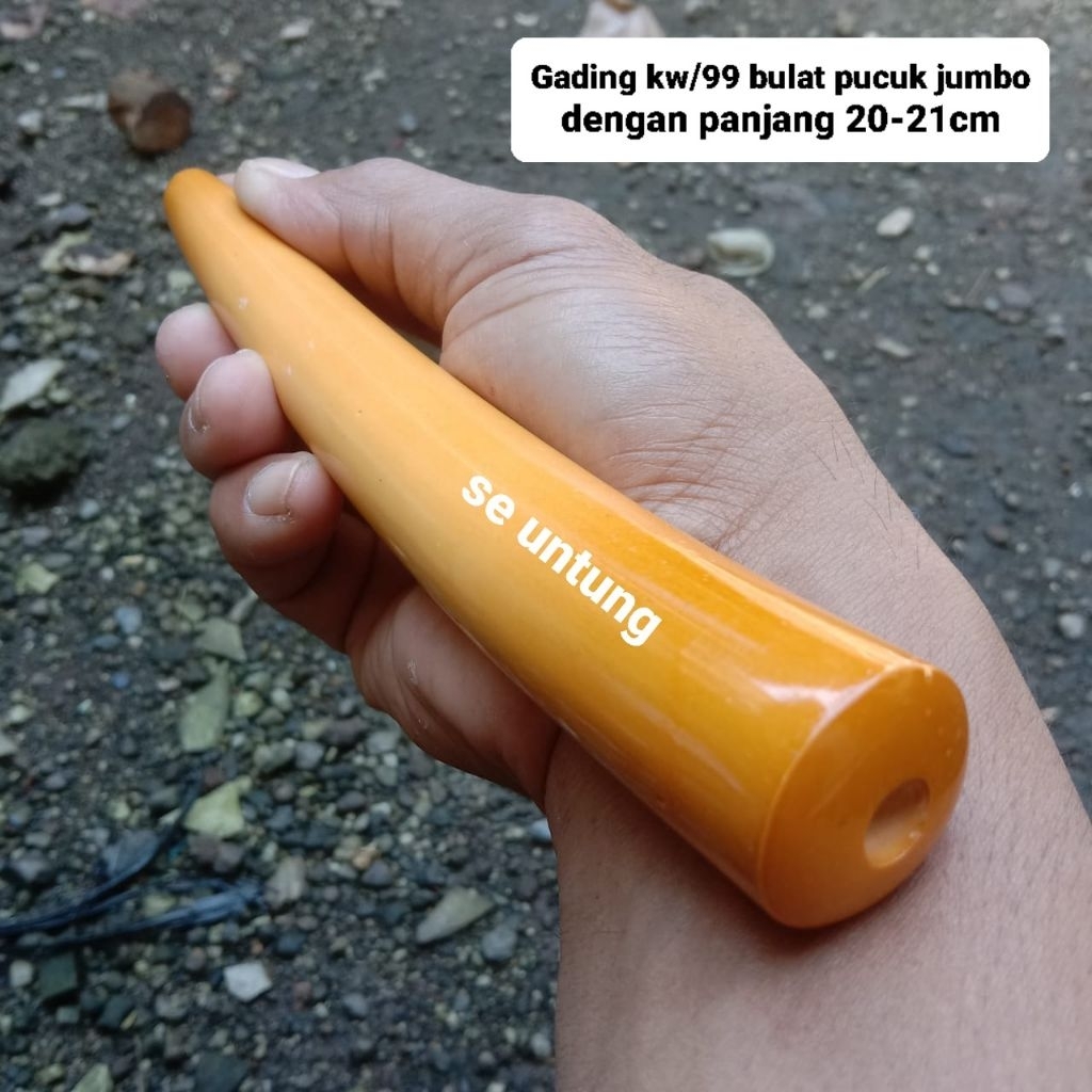 pipa once srigading/99 jumbo bulat pucuk dengan panjang 20cm
