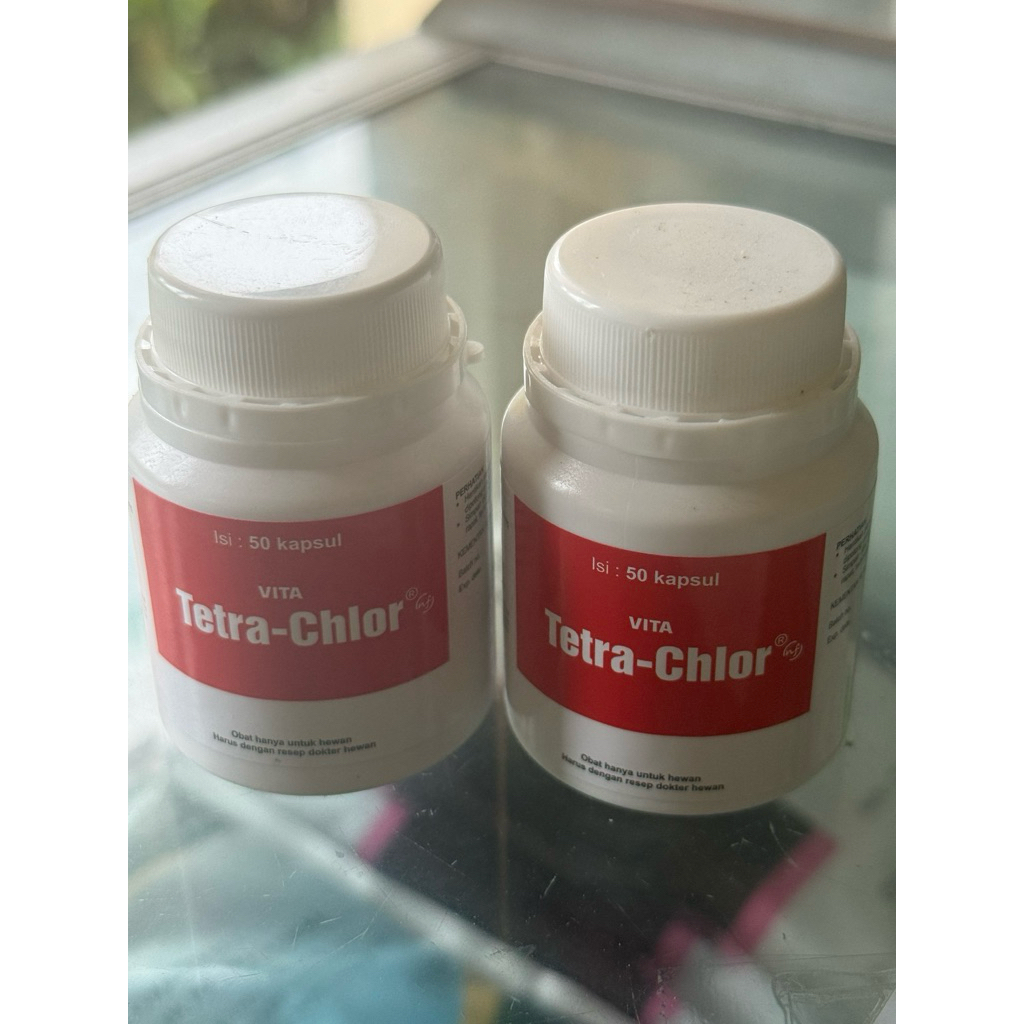 tetra chlor 50kapsul