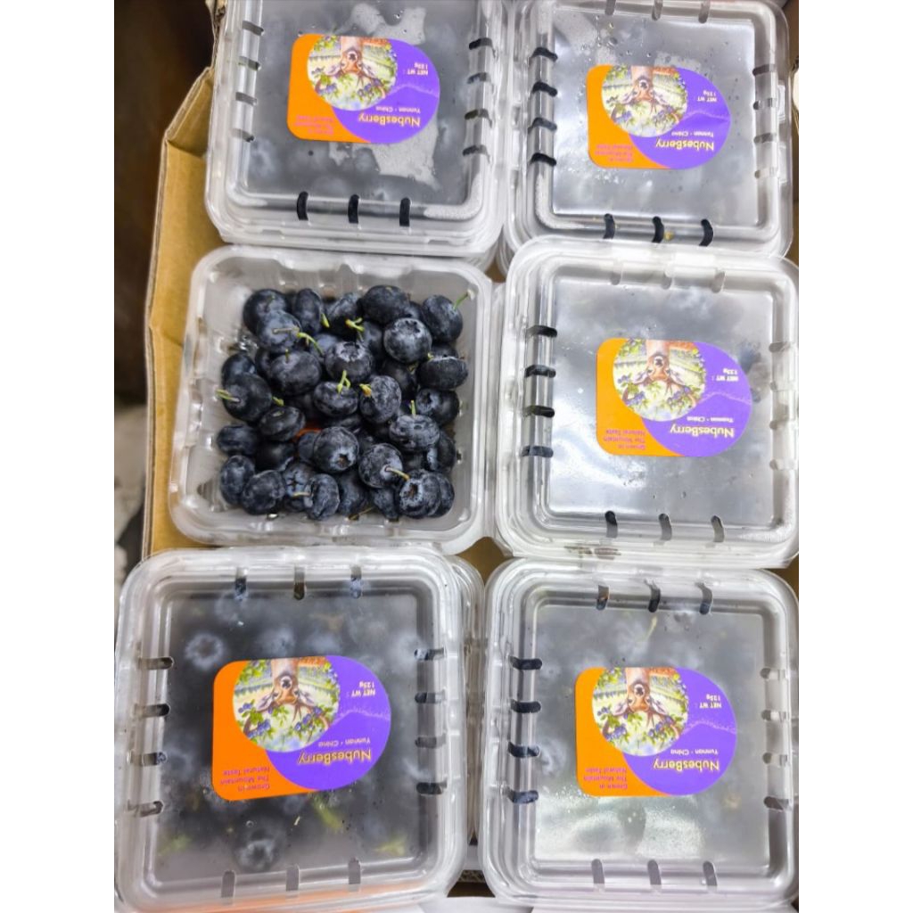 BLUEBERRY FRESH PACK