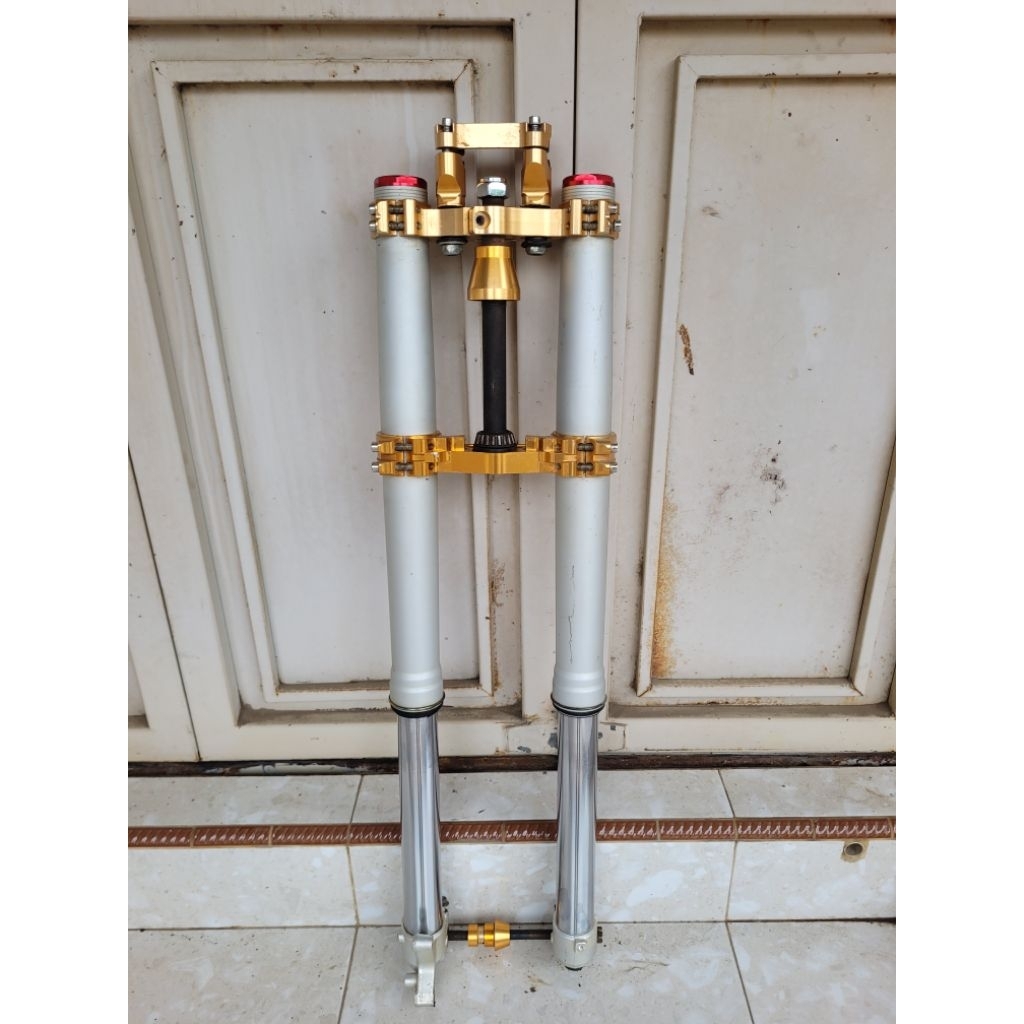 Shock usd expedition