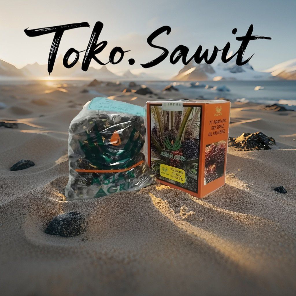 Bibit Kelapa Sawit Topaz DxP Tahan Ganoderma