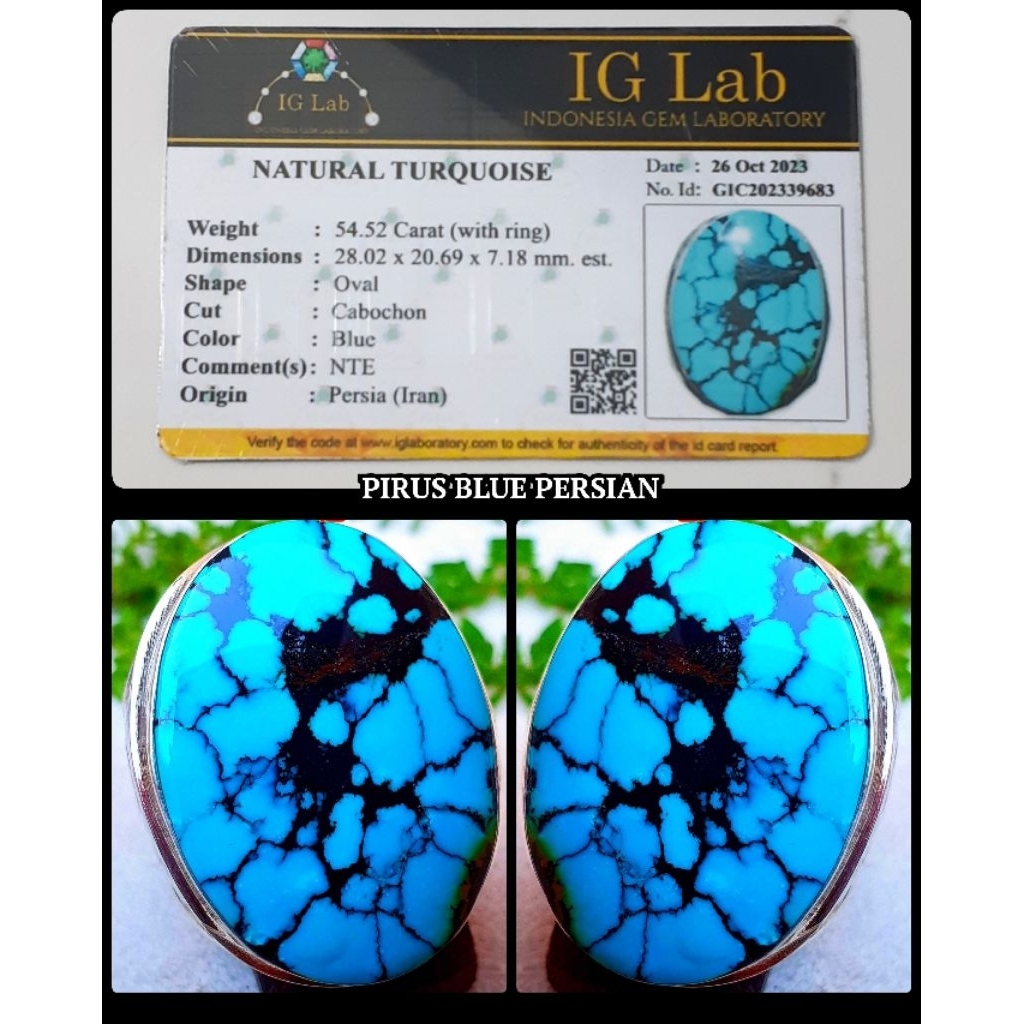 pirus jumbo persia ceplok kuro super + ring perak asli ya