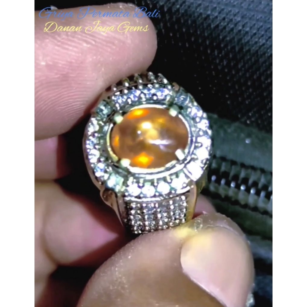 bangsing brahma star