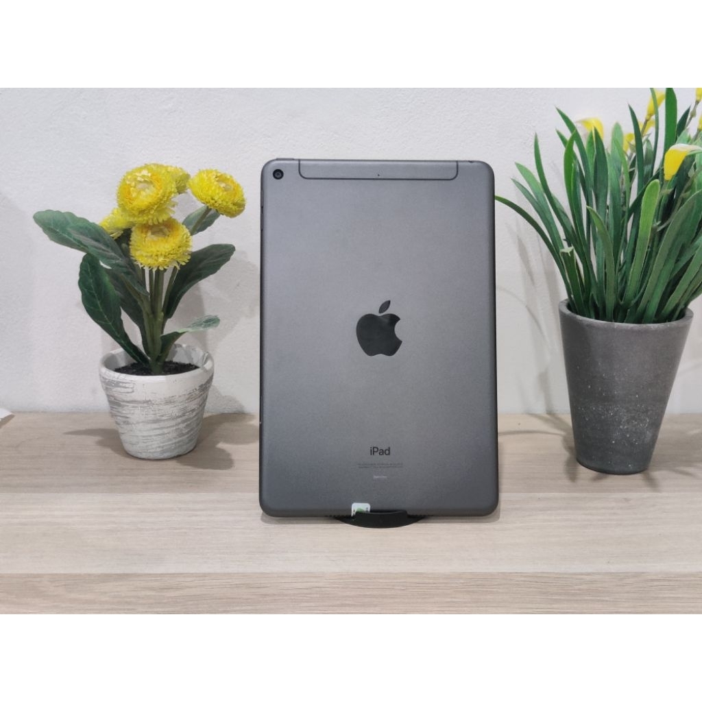 Apple Ipad Mini 5 256GB Wifi Cellular Resmi IBOX Unit Only