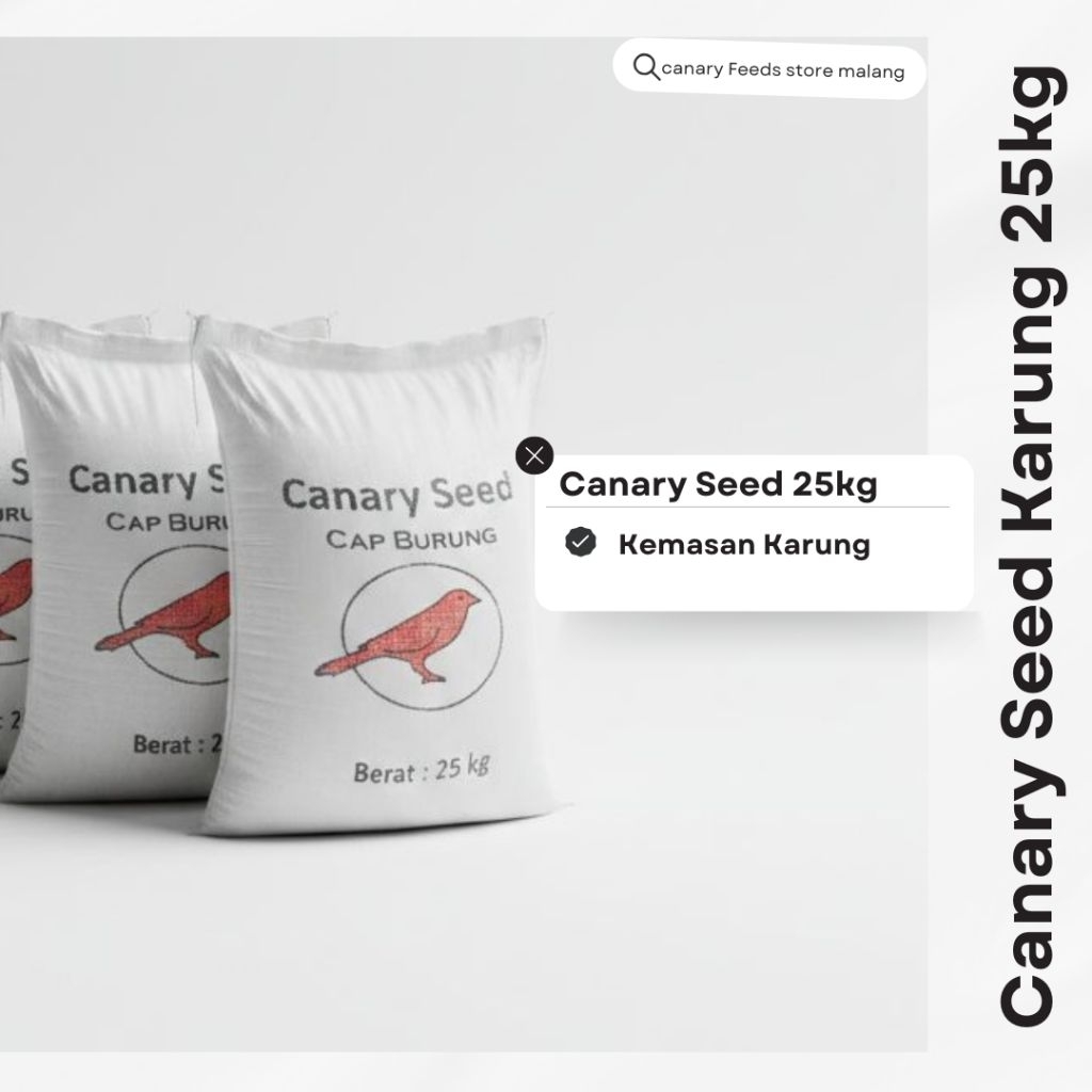 Canary Seed Kenari sat karung 25kg