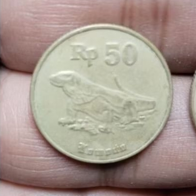 UANG KOIN LAWAS 50 RUPIAH INDONESIA GAMBAR KOMODO 1991-1998 PERNAH DI PAKAI KODE 406