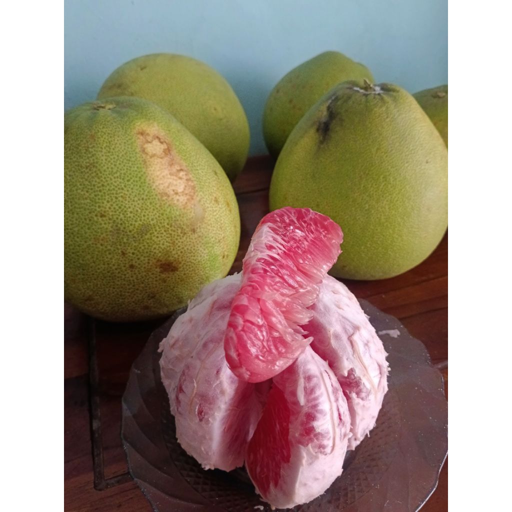 JERUK BALI MERAH/PAMELO