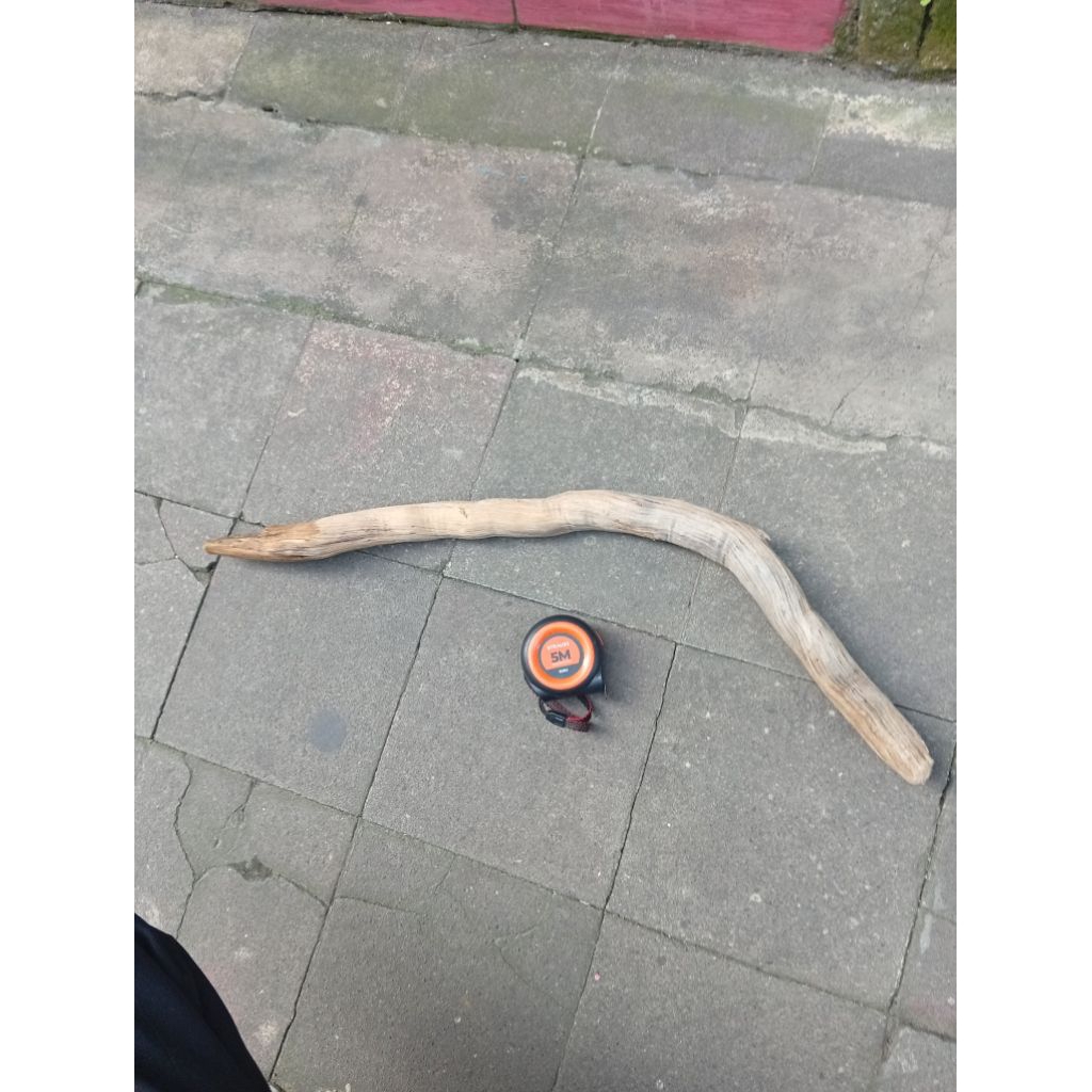 Kayu Santigi Aquascape