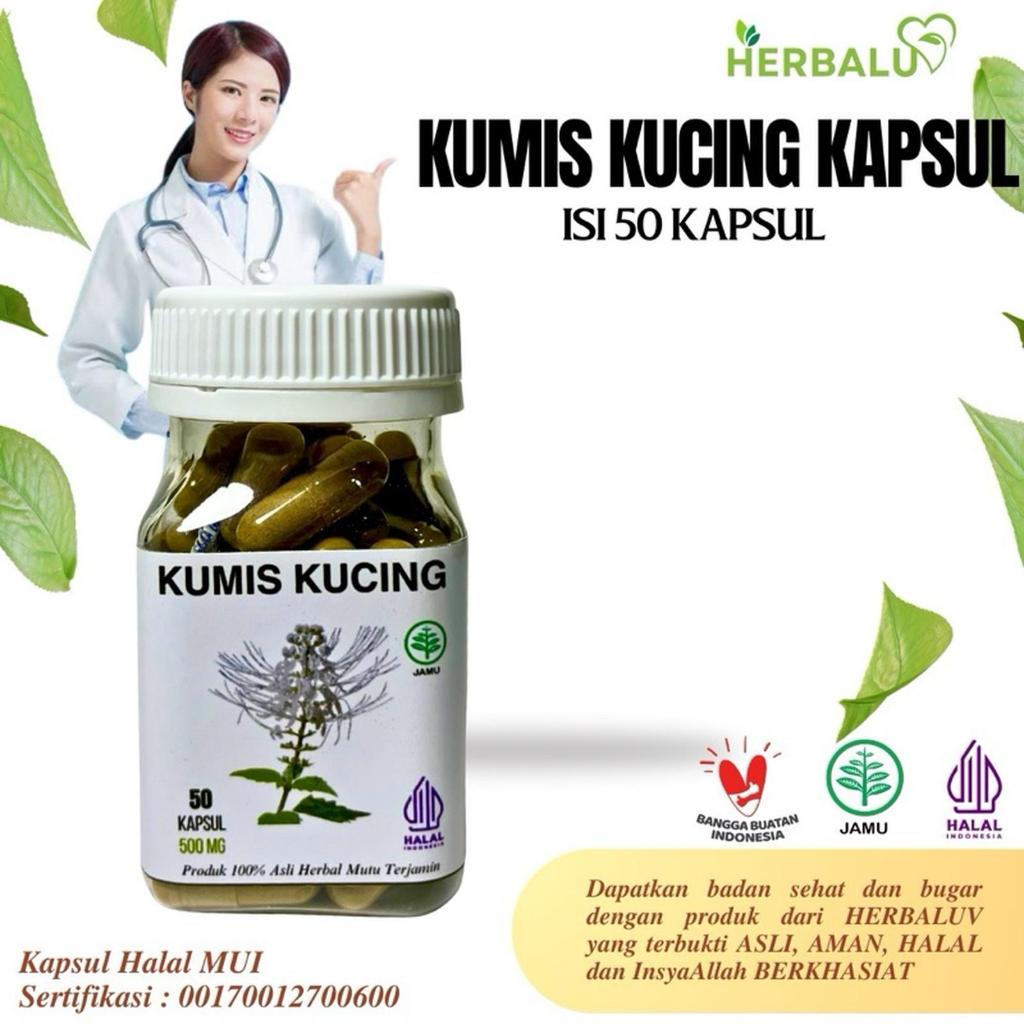 HERBALUV Kapsul Kumis Kucing Original Herbal ( Infeksi Saluran Kemih, Ginjal , Asam Urat)