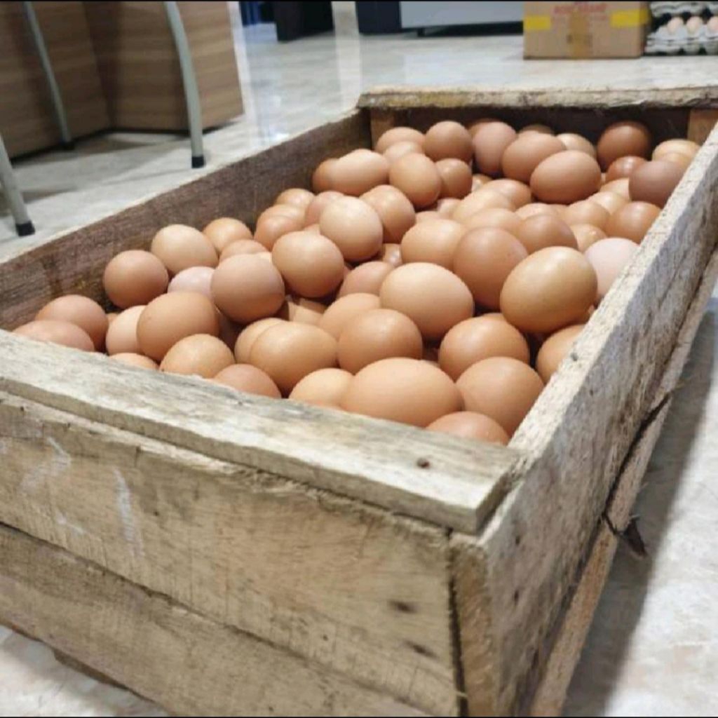 Telur Ayam Curah Super (Per 1kg)/Telur Ayam Negeri Berkualitas