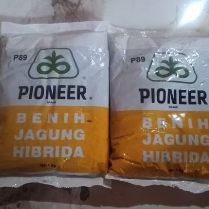BENIH JAGUNG PIONEER P89 KEMASAN 1 KG
