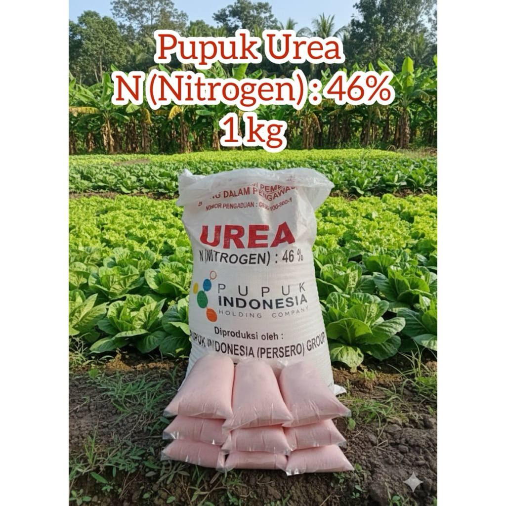 Pupuk Urea Repack 1kg. Pupuk Urea Nitrogen 46%. Pupuk Urea Menyuburkan tanaman