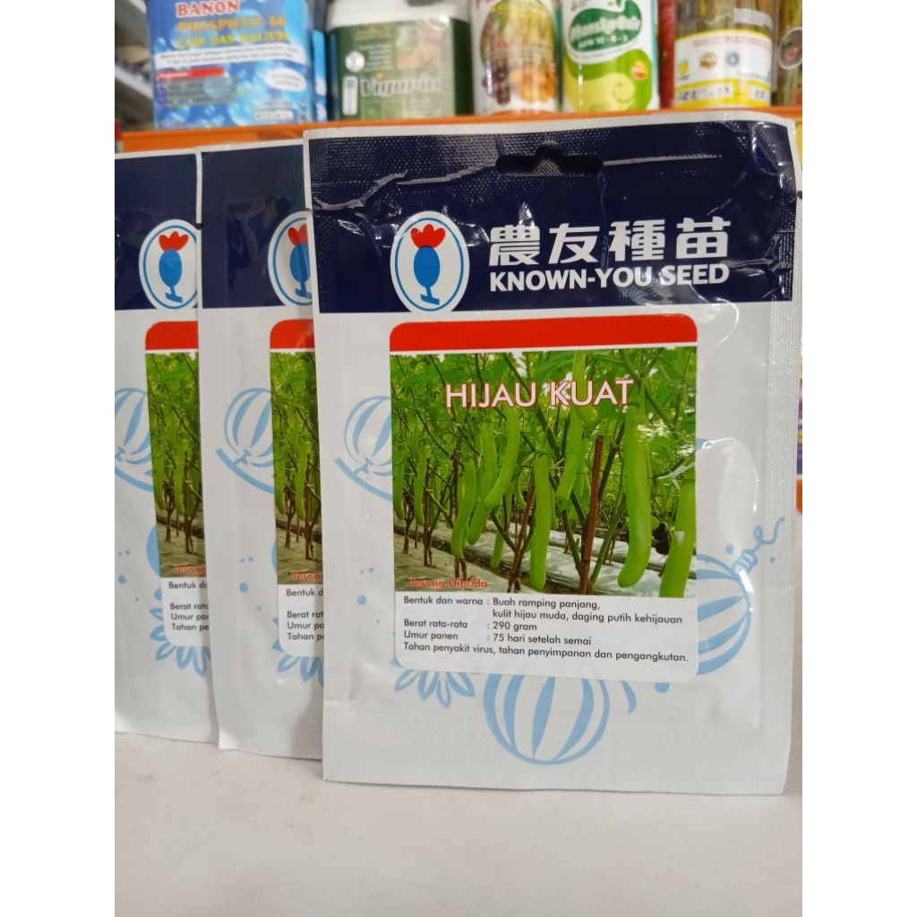 BENIH TERONG HIJAU KUAT 5GR