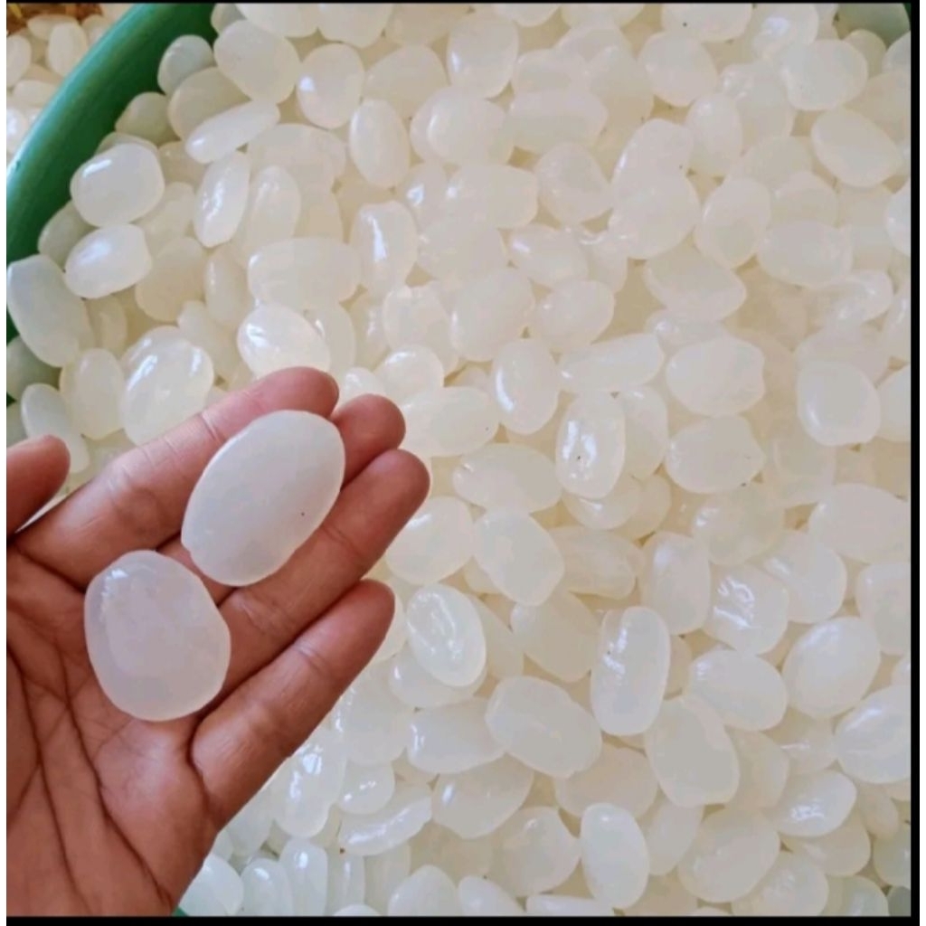 Kolang kaling kolang Kaling super jumbo kenyal mentah 500 gram kolang kaling fresh/caruluk/cangkalen