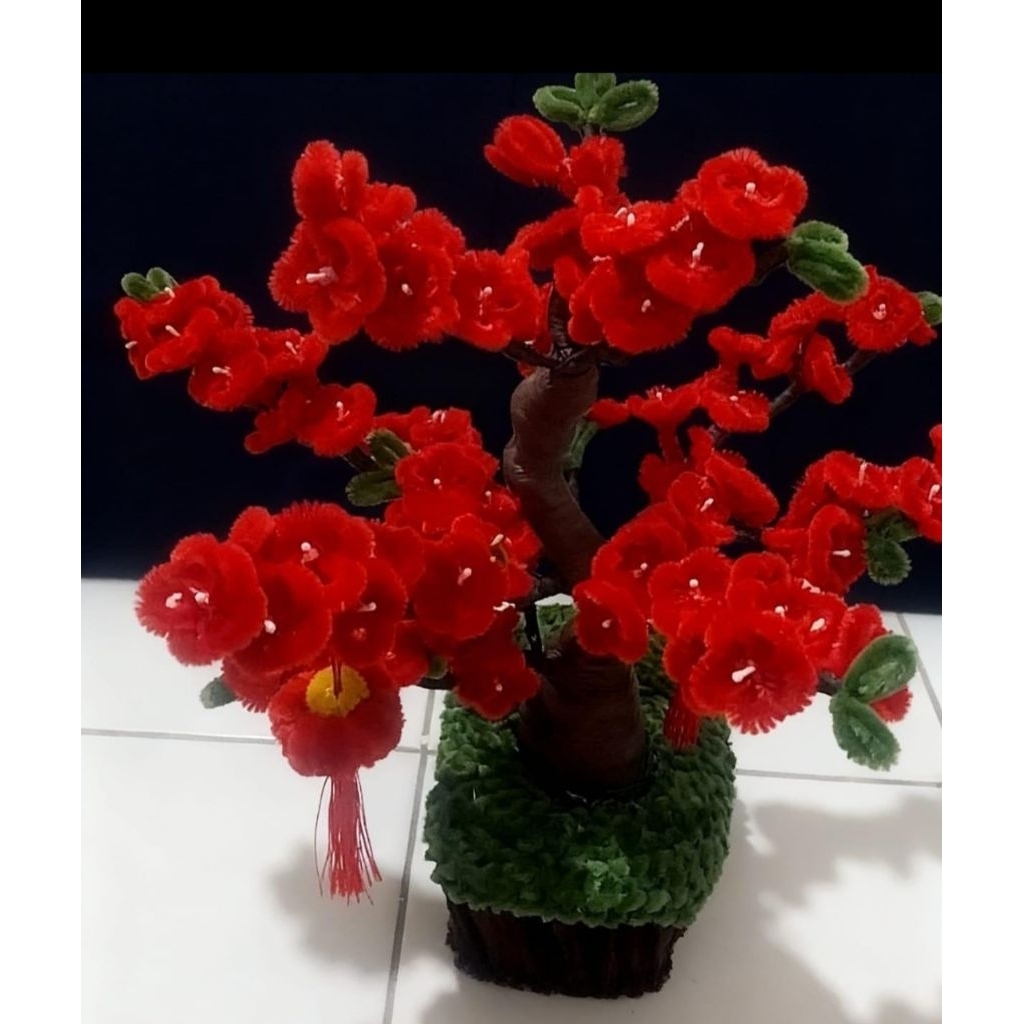 bonsai sakura