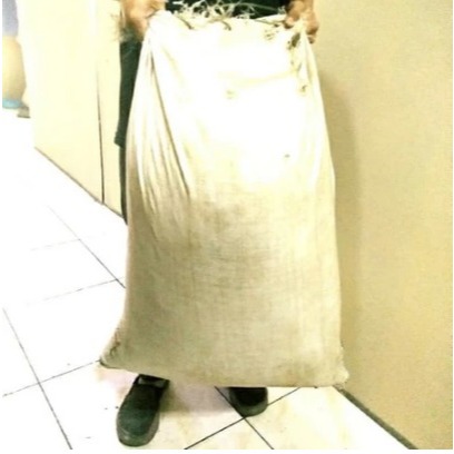 sekam padi 1 karung Murah kulit gabah padi media tanam alas hewan