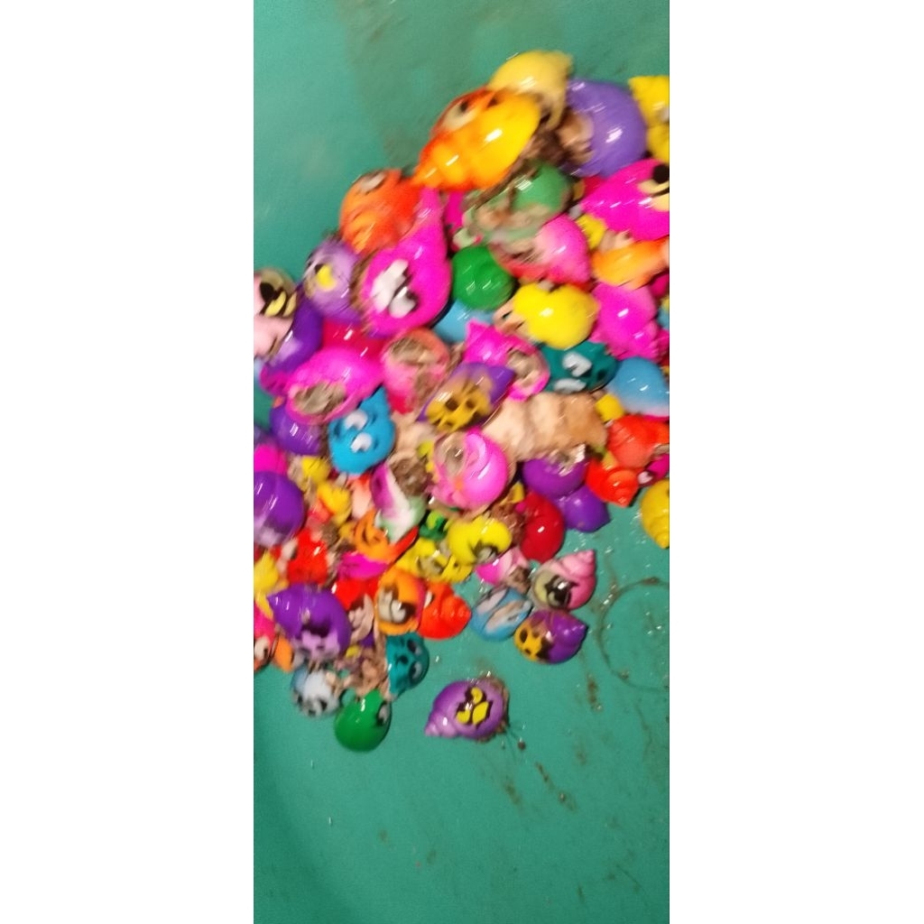 mainan kelomang cangkamg warna