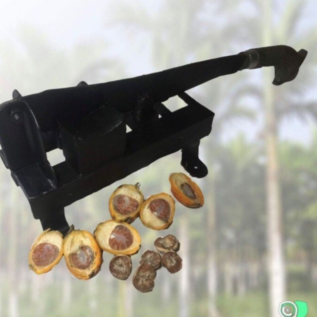 Alat pembelah pinang best seller/ pencongkel pinang