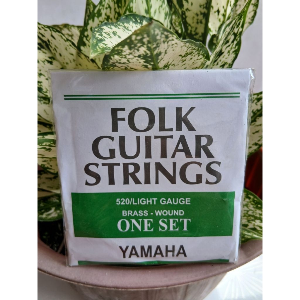 Senar Gitar Fuji Fender Yamaha Pyramid Gibson dll