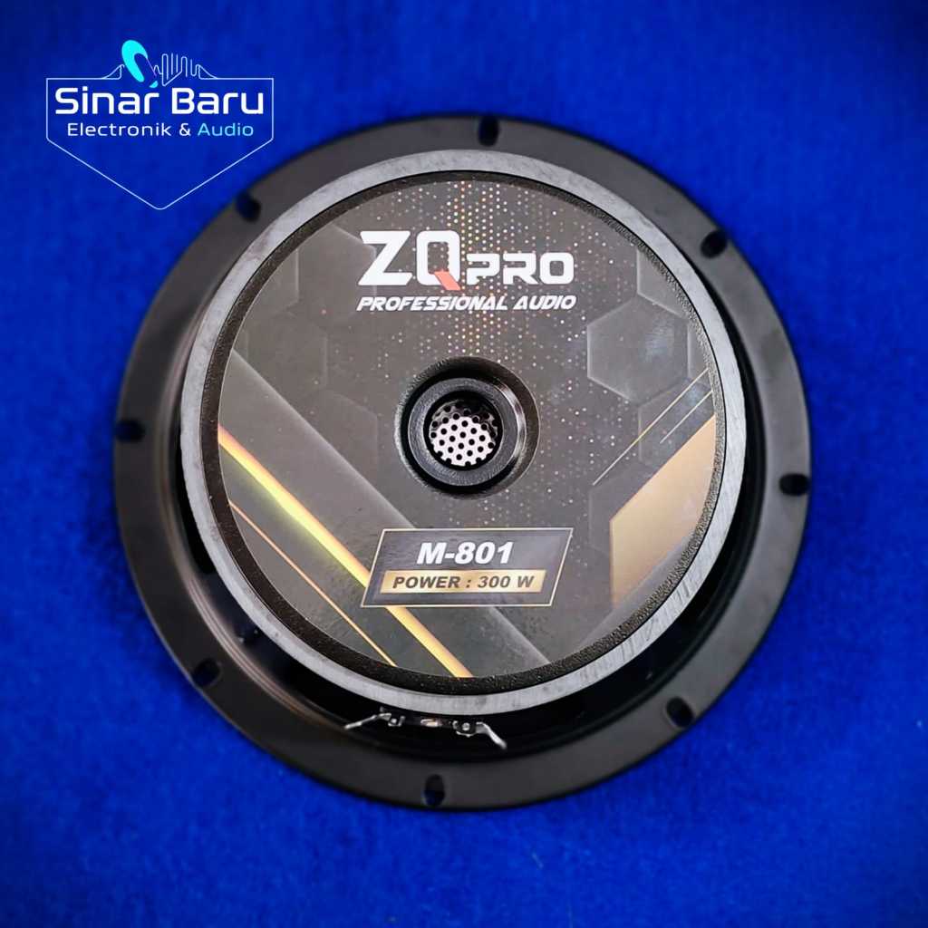 Speaker Middle ZQ PRO M-801 power 300W