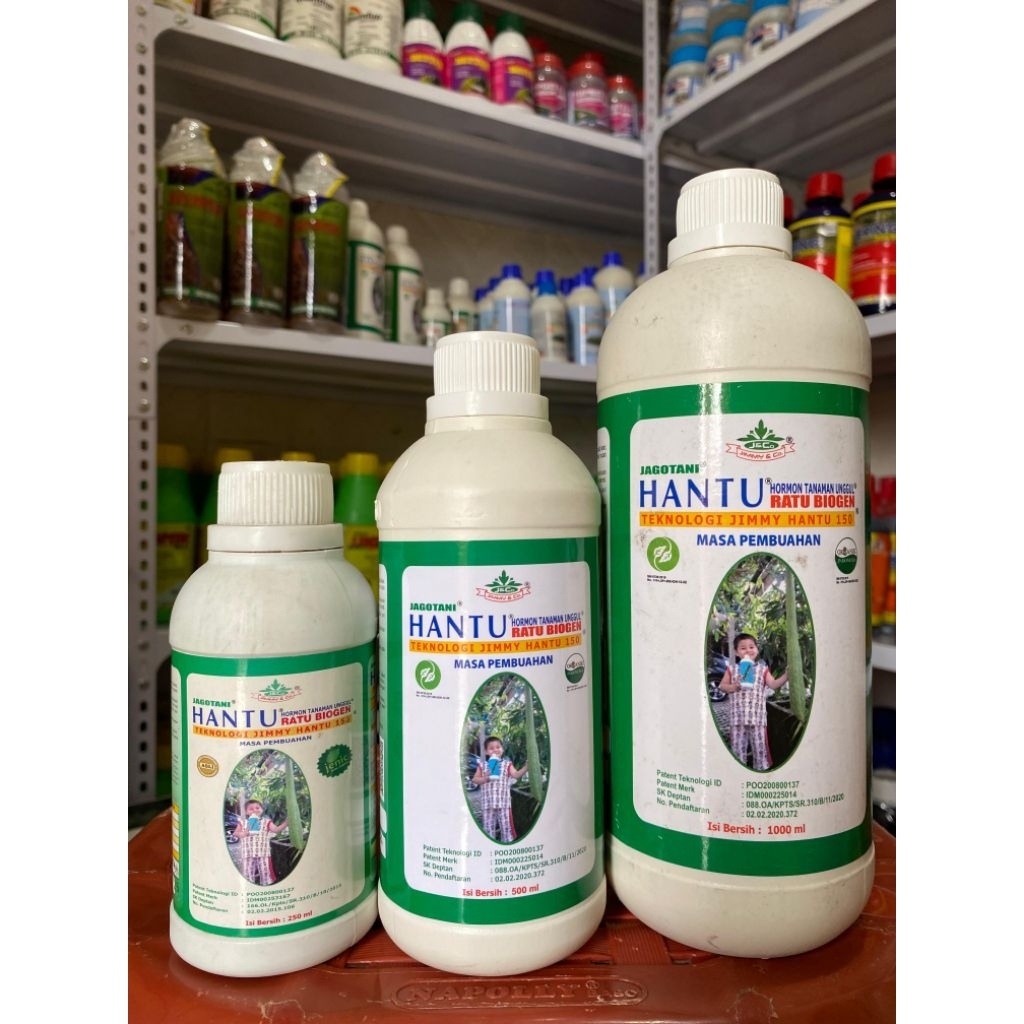 Pupuk Jimmy Hantu NPK untuk memperbanyak buah