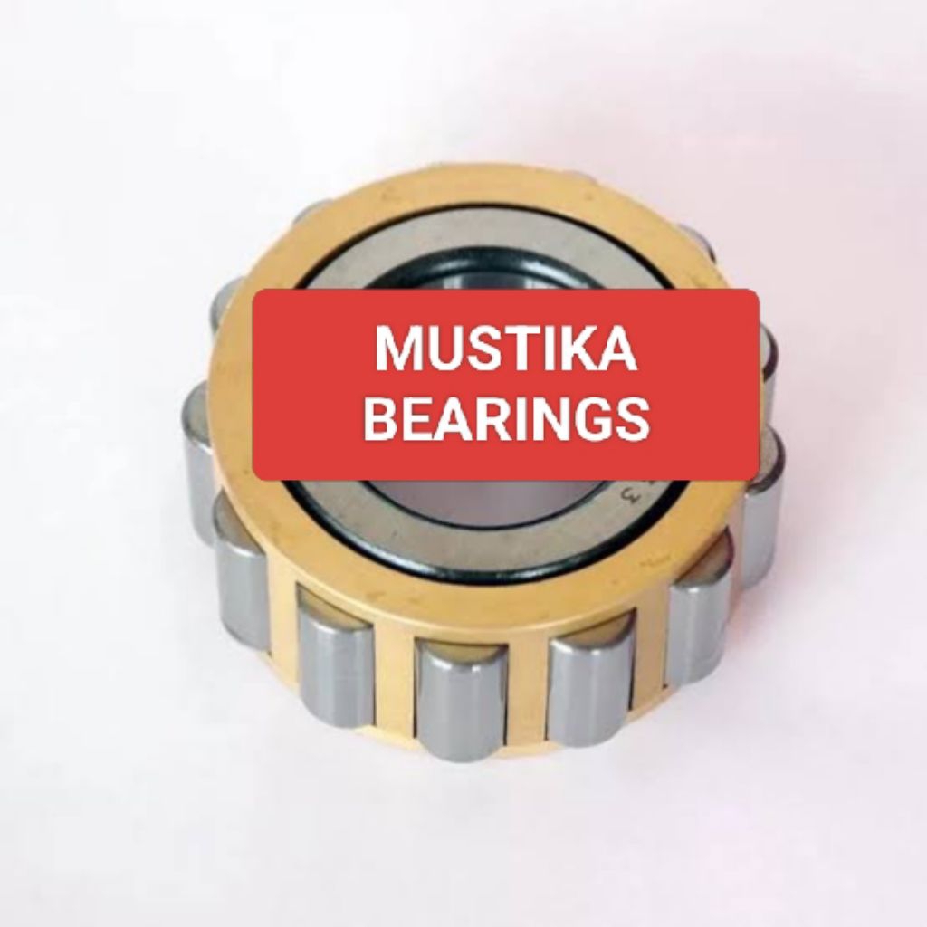 BEARING LAHAR RN206M / RN 206 M / RN 206M SULFE / NIS
