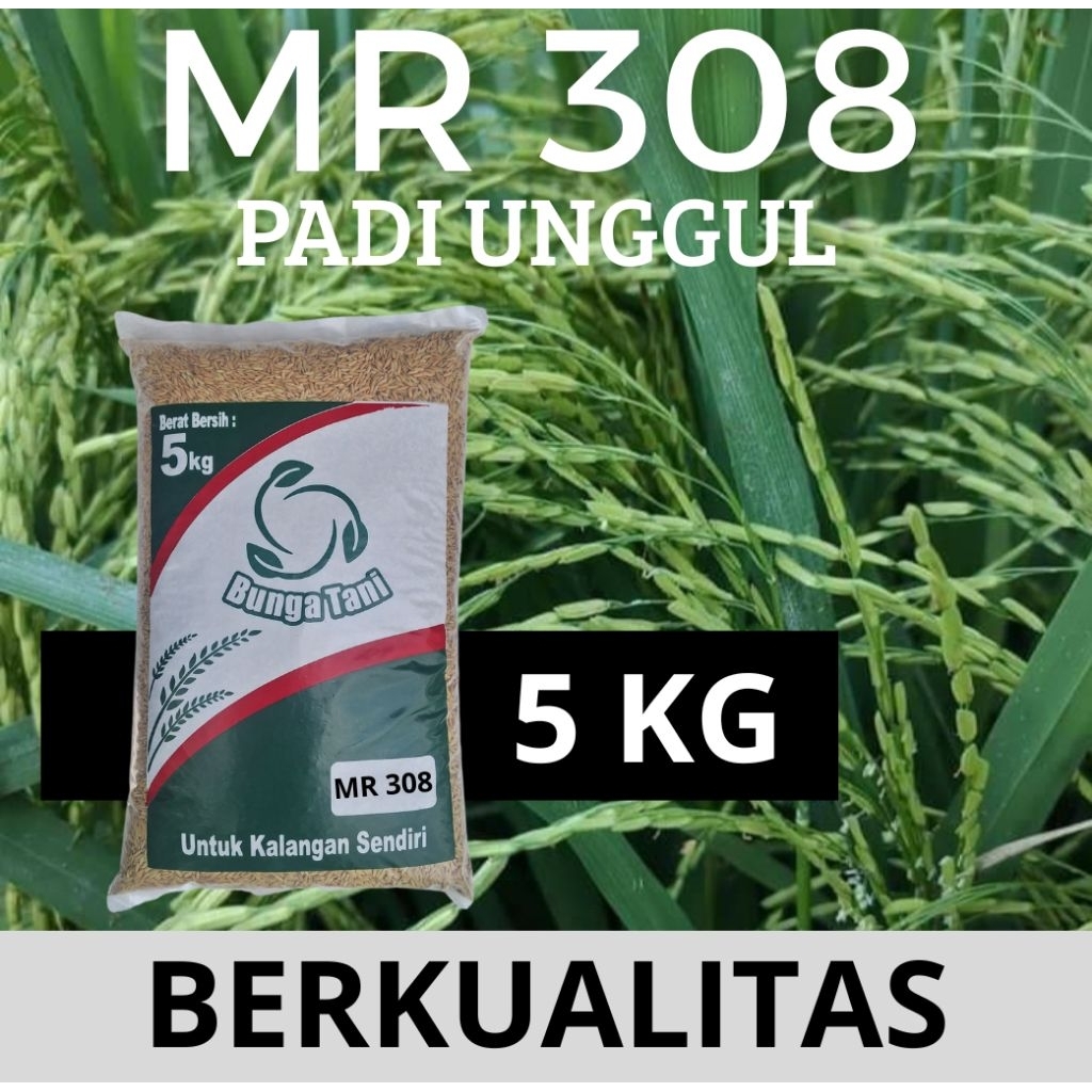 benih padi MR 308 kemasan 5kg