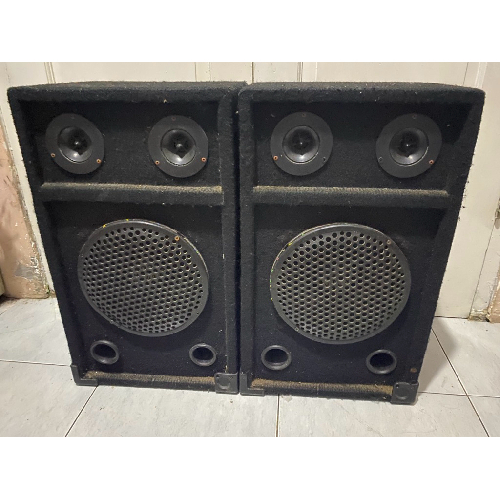 Speaker Pasif 10 inch