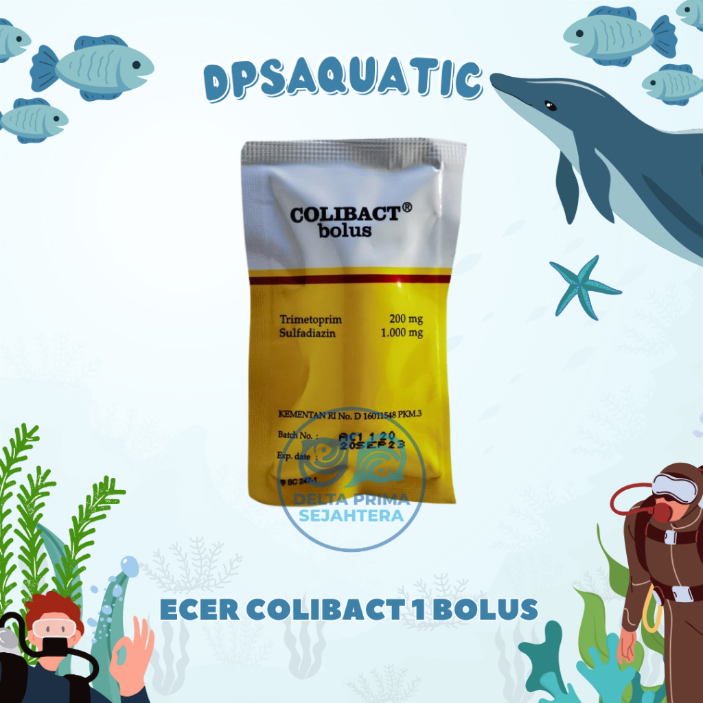 ECER COLIBACT 1 BOLUS - Untuk Diare Hewan Sapi, Kuda, Domba, Babi Dan Lainnya.