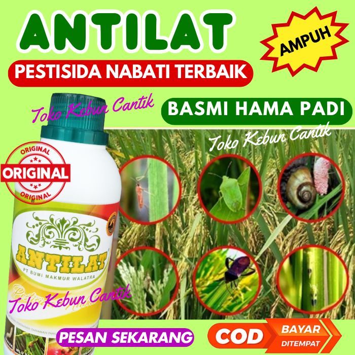 OBAT HAMA PADI LENGKAP 500ML Anti Ulat Sundep Beluk Wereng Belalang
