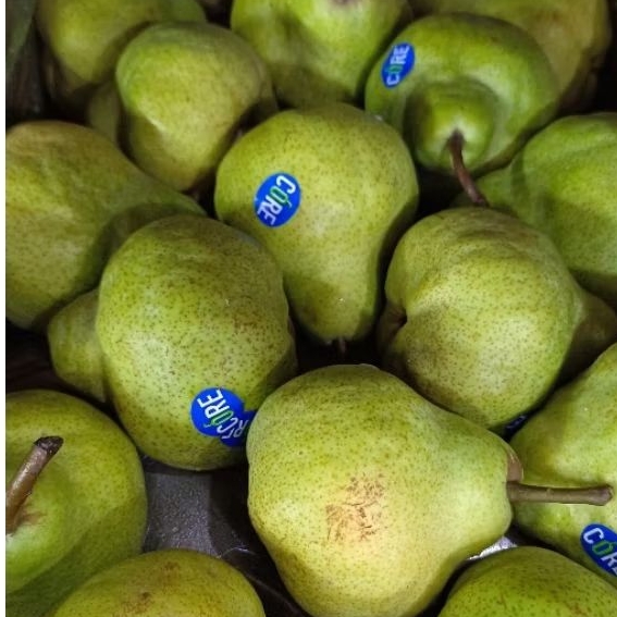 BUAH PIR PACKHAM / PIR JAMBU PREMIUM