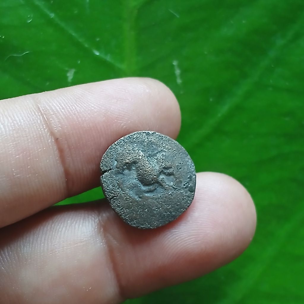 Koleksi Temuan Sungai Alat Tukar Koin KUNO era Kerajaan Chola India