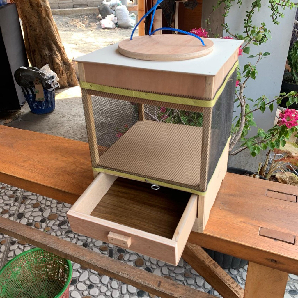 Grosir 10pcs Kandang Jangkrik Ram Kawat dengan Desain Kayu dan Jaring Transparan untuk Hewan Pelihar