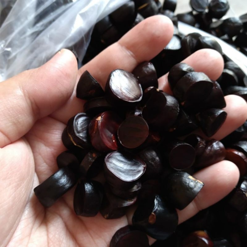 100 gr Kabau Kancing Jolang Jaling Lampung Sumatera Segar Penambah Nafsu Makan