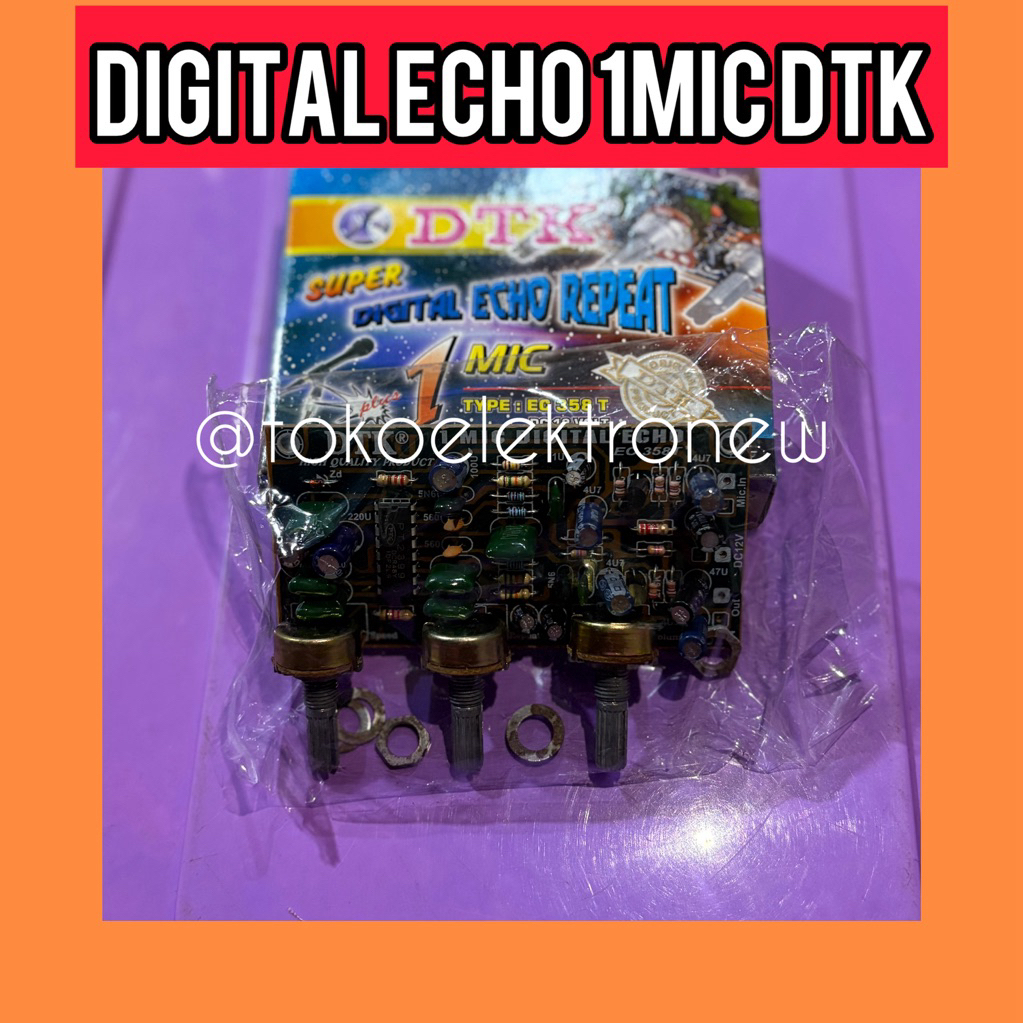 DIGITAL ECHO 1MIC DTK