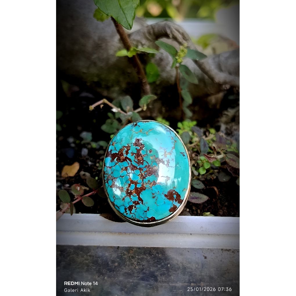 pirus persia urat emas