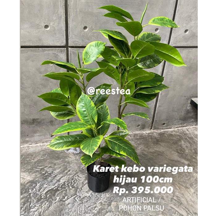 Pohon Karet Kebo Tinggi 100cm / Pohon hias palsu / Artificial plant