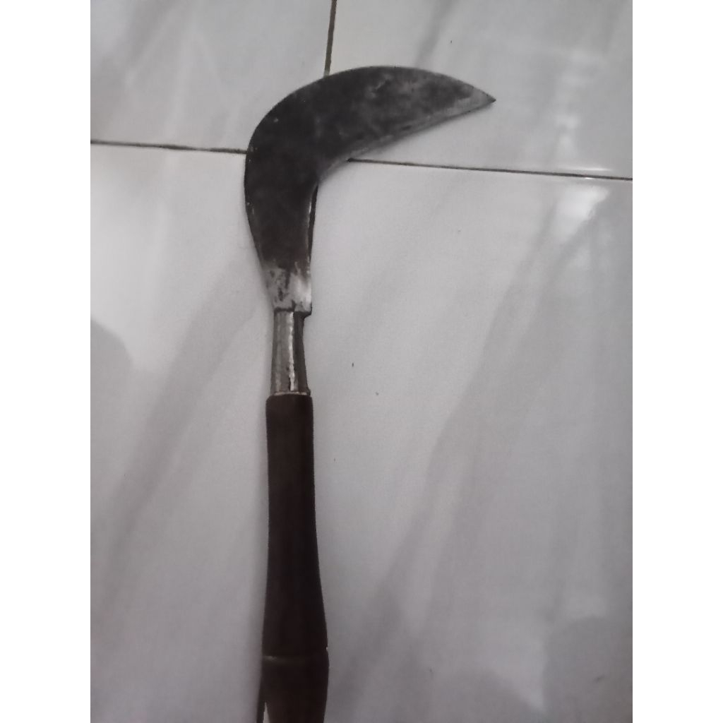 Arit rumput baja asli berkualitas