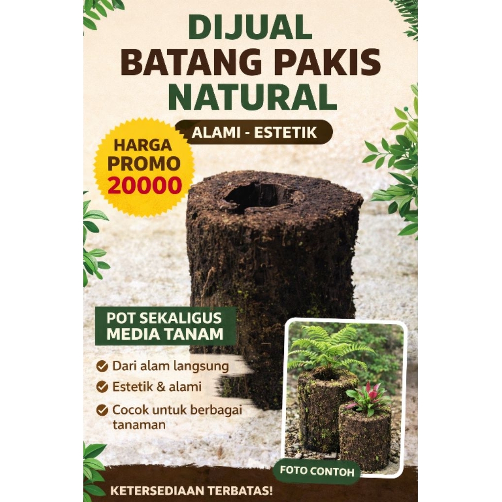Batang pakis alami/natural hasil huta Pot sekaligus media tanam