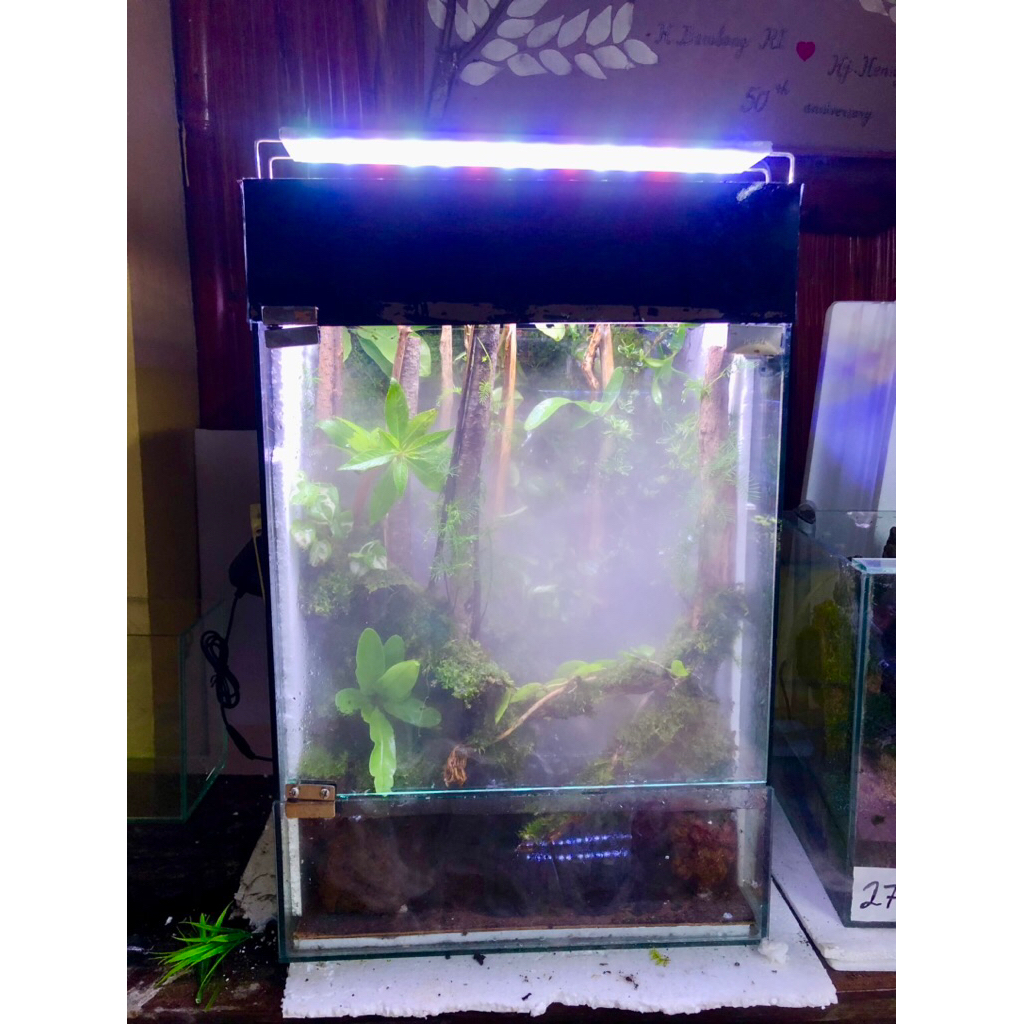paludarium air hujan size 40x30x60 cm fullset tinggal isi siap pandang